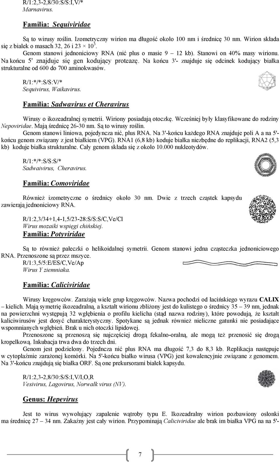 Na końcu 3'- znajduje się odcinek kodujący białka strukturalne od 600 do 700 aminokwasów. R/1:*/*:S/S:V/* Sequivirus, Waikavirus. Familia: Sadwavirus et Cheravirus Wirusy o ikozeadralnej symetrii.