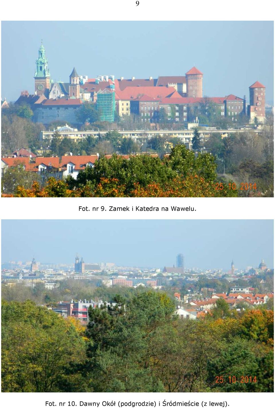 Wawelu. Fot. nr 10.