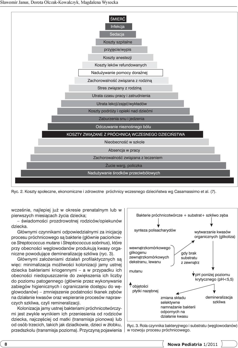Głównymi czynnikami odpowiedzialnymi za inicjację procesu próchnicowego są bakterie (głównie paciorkowce Streptococcus mutans i Streptococcus sobrinus), które przy obecności węglowodanów produkują
