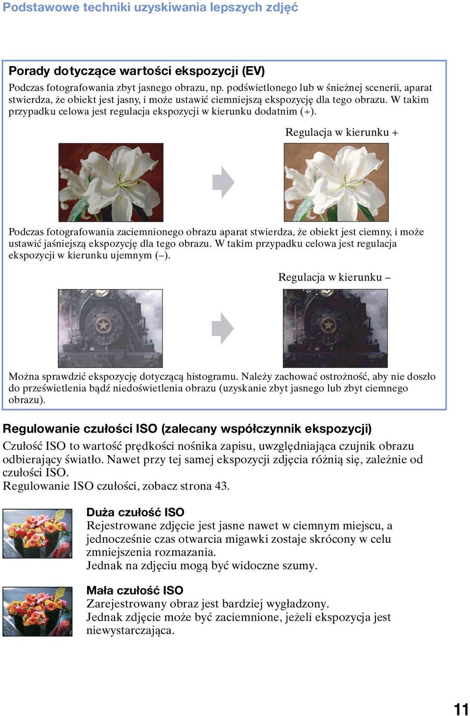 W takim przypadku celowa jest regulacja ekspozycji w kierunku dodatnim (+).