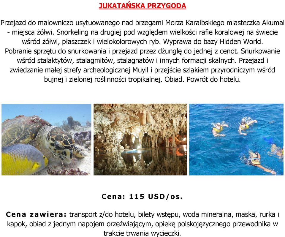 Pobranie sprzętu do snurkowania i przejazd przez dżunglę do jednej z cenot. Snurkowanie wśród stalaktytów, stalagmitów, stalagnatów i innych formacji skalnych.