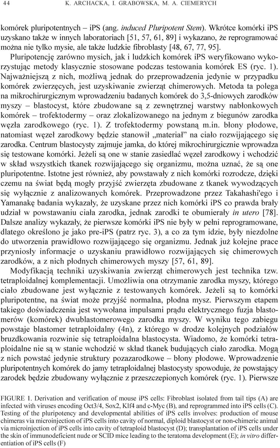 Pluripotencjê zarówno mysich, jak i ludzkich komórek ips weryfikowano wykorzystuj¹c metody klasycznie stosowane podczas testowania komórek ES (ryc. 1).