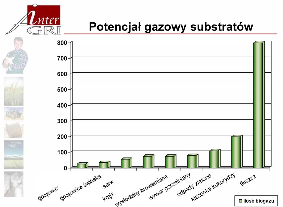 krajanka buraczana wywar gorzelniany