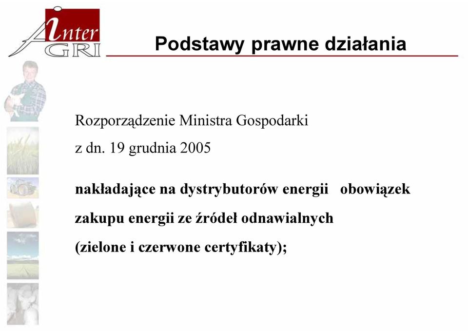 19 grudnia 2005 nakładające na dystrybutorów