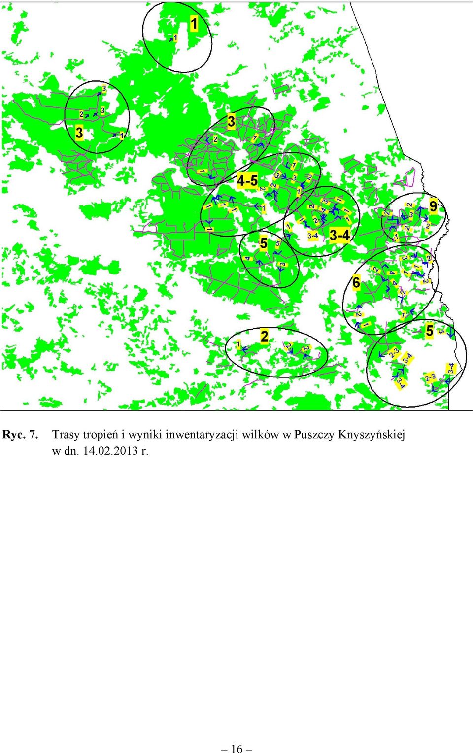 inwentaryzacji wilków w