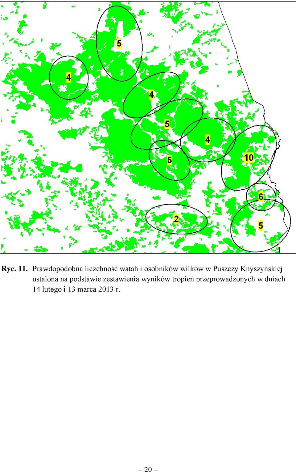 wilków w Puszczy Knyszyńskiej ustalona na