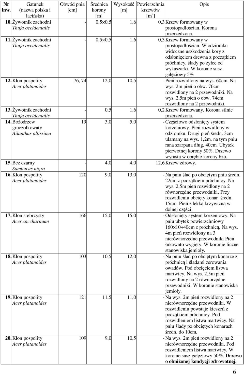 Klon pospolity Obwód pnia [cm] Średnica korony Wysokość Powierzchnia krzewów [m 2 ] Opis - 0,5 0,5 1,6 0,3 Krzew formowany w prostopadłościan. Korona przerzedzona.