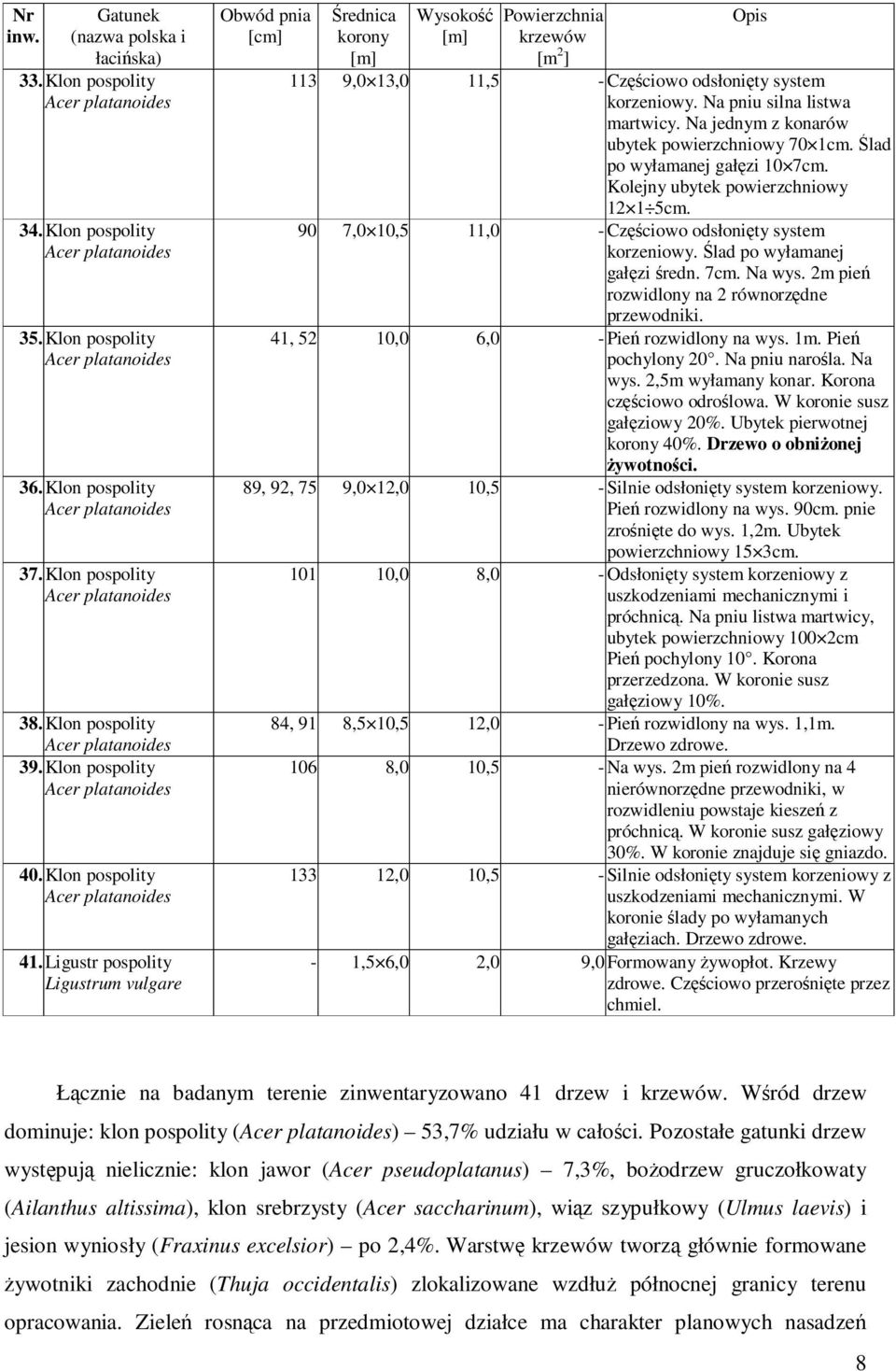 Na jednym z konarów ubytek powierzchniowy 70 1cm. Ślad po wyłamanej gałęzi 10 7cm. Kolejny ubytek powierzchniowy 12 1 5cm. 90 7,0 10,5 11,0 - Częściowo odsłonięty system korzeniowy.