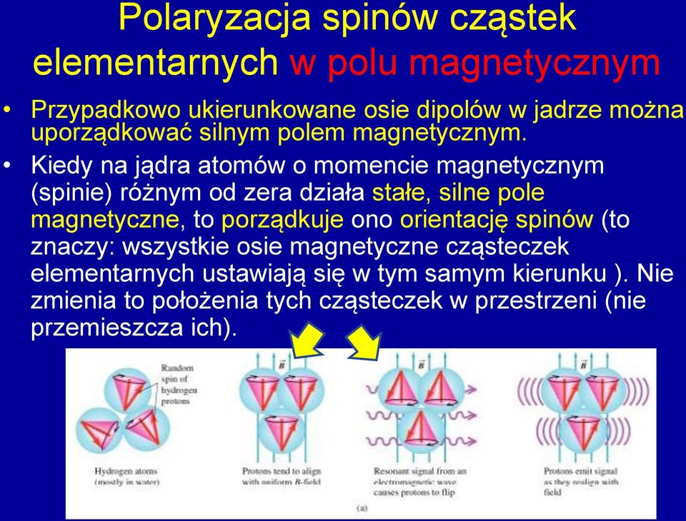 Kiedy na jądra atomów o momencie magnetycznym (spinie) różnym od zera działa stałe, silne pole magnetyczne, to