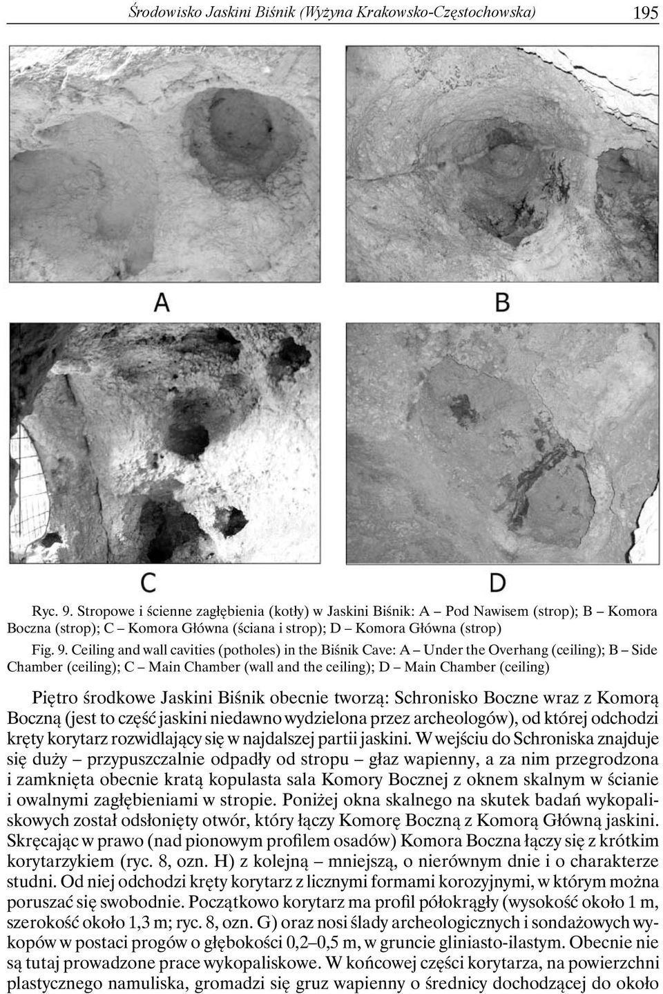 Ceiling and wall cavities (potholes) in the Biśnik Cave: A Under the Overhang (ceiling); B Side Chamber (ceiling); C Main Chamber (wall and the ceiling); D Main Chamber (ceiling) Piętro środkowe