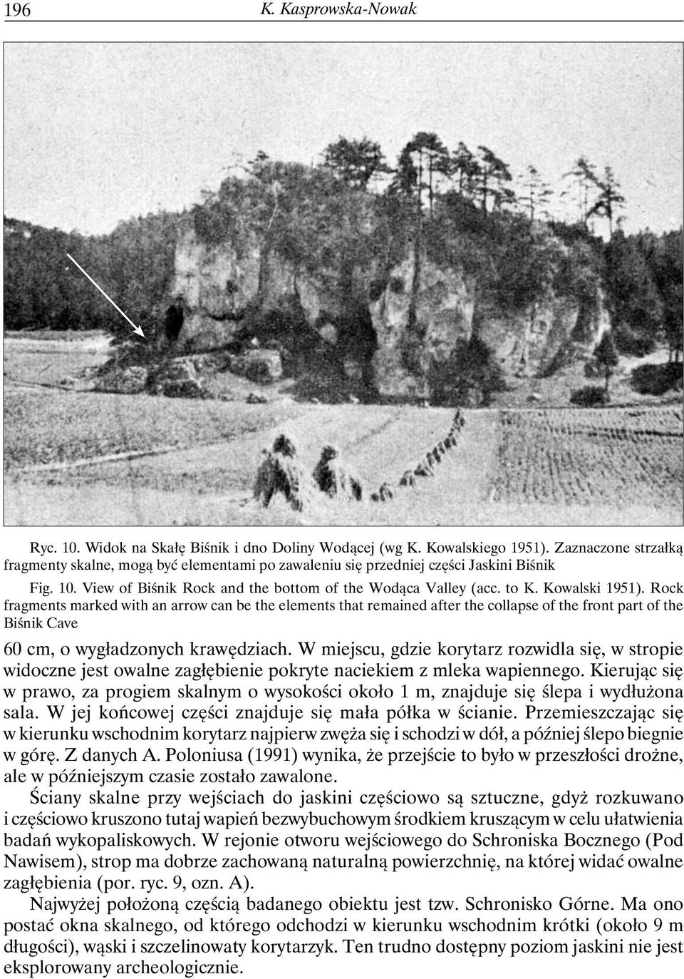 Rock fragments marked with an arrow can be the elements that remained after the collapse of the front part of the Biśnik Cave 60 cm, o wygładzonych krawędziach.