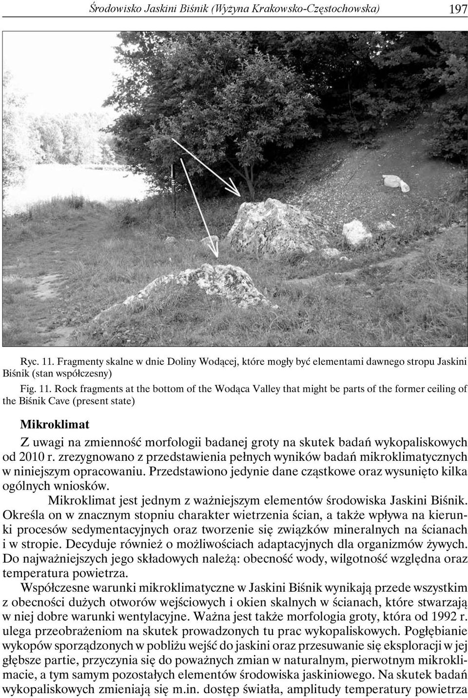 Rock fragments at the bottom of the Wodąca Valley that might be parts of the former ceiling of the Biśnik Cave (present state) Mikroklimat Z uwagi na zmienność morfologii badanej groty na skutek