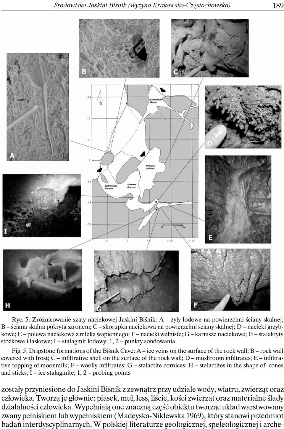 polewa naciekowa z mleka wapiennego; F nacieki wełniste; G karnisze naciekowe; H stalaktyty stożkowe i laskowe; I stalagmit lodowy; 1, 2 punkty sondowania Fig. 5.
