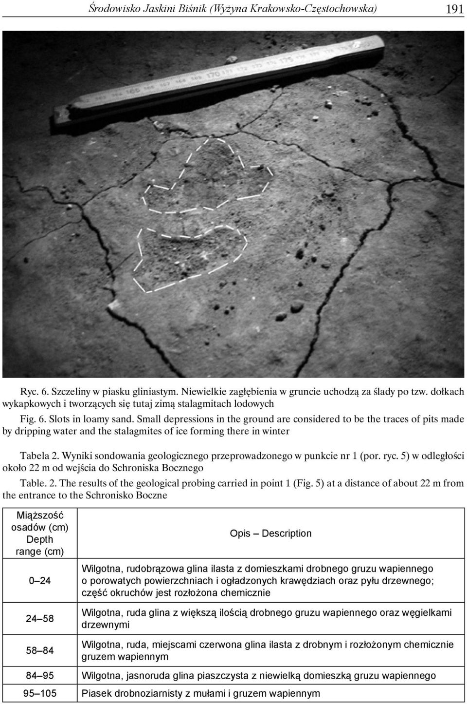Small depressions in the ground are considered to be the traces of pits made by dripping water and the stalagmites of ice forming there in winter Tabela 2.