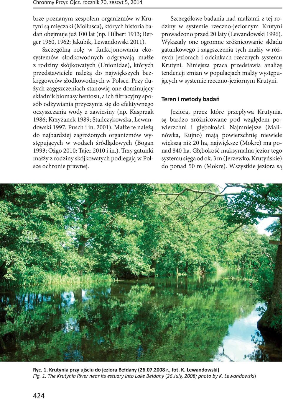 Szczególną rolę w funkcjonowaniu ekosystemów słodkowodnych odgrywają małże z rodziny skójkowatych (Unionidae), których przedstawiciele należą do największych bezkręgowców słodkowodnych w Polsce.