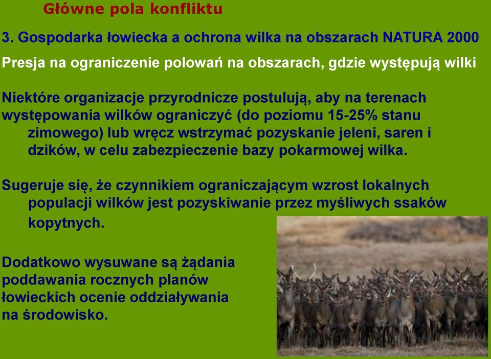 przyrodnicze postulują, aby na terenach występowania wilków ograniczyć (do poziomu 15-25% stanu zimowego) lub wręcz wstrzymać pozyskanie jeleni, saren i