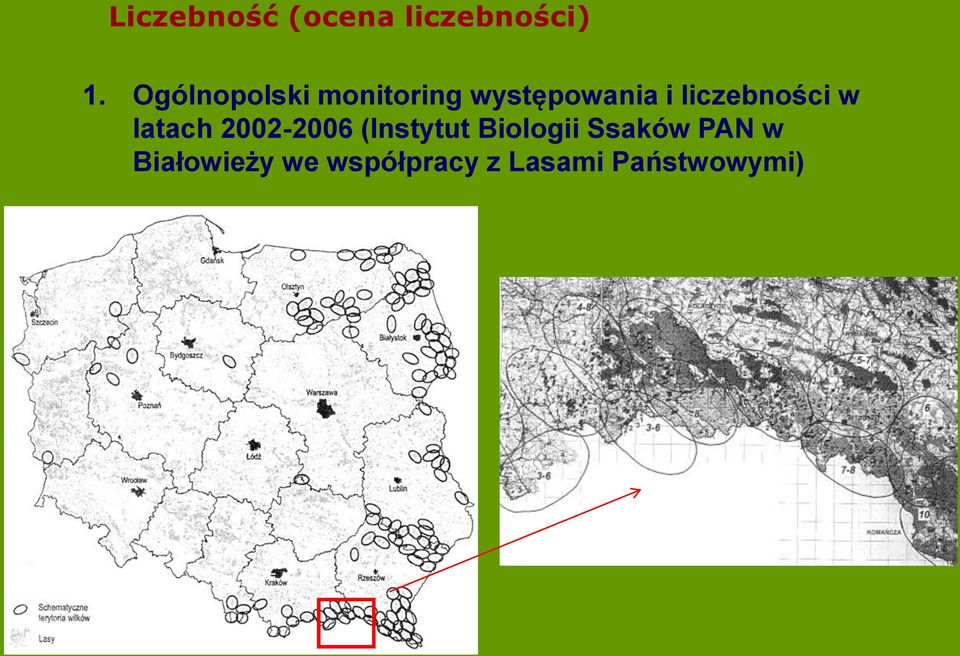 liczebności w latach 2002-2006 (Instytut