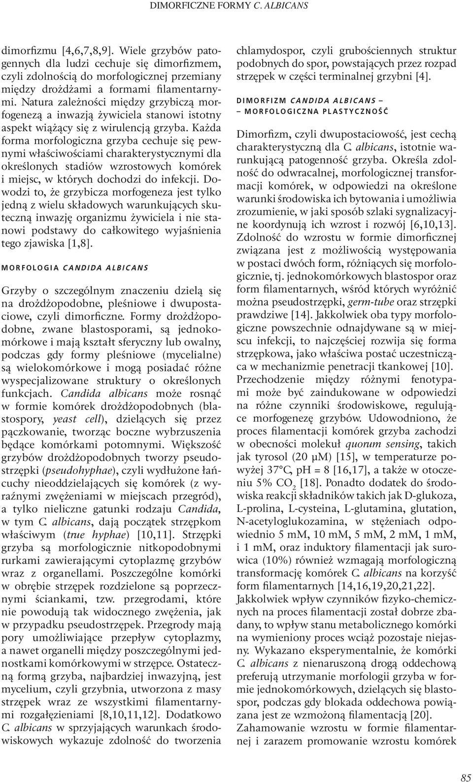 Natura zależności między grzybiczą morfogenezą a inwazją żywiciela stanowi istotny aspekt wiążący się z wirulencją grzyba.