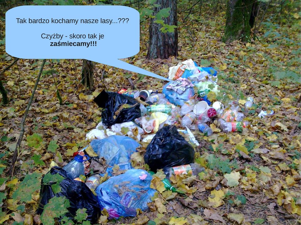 lasy...??? Czyżby