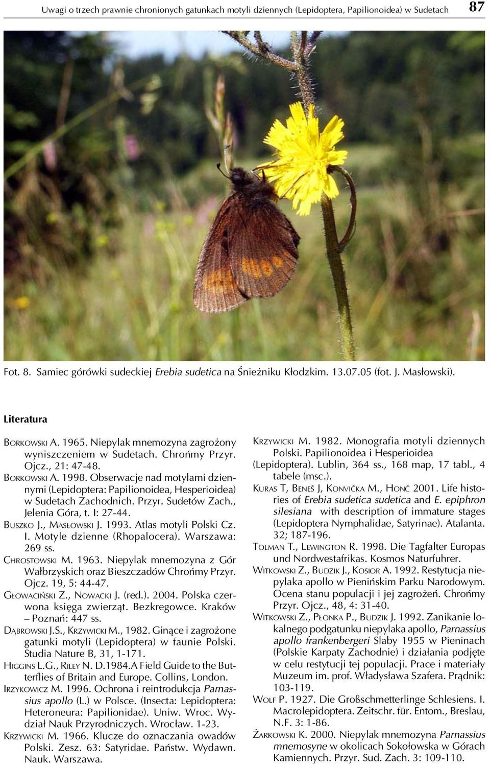 Obserwacje nad motylami dziennymi (Lepidoptera: Papilionoidea, Hesperioidea) w Sudetach Zachodnich. Przyr. Sudetów Zach., Jelenia Góra, t. I: 27-44. BUSZKO J., MASŁOWSKI J. 1993.