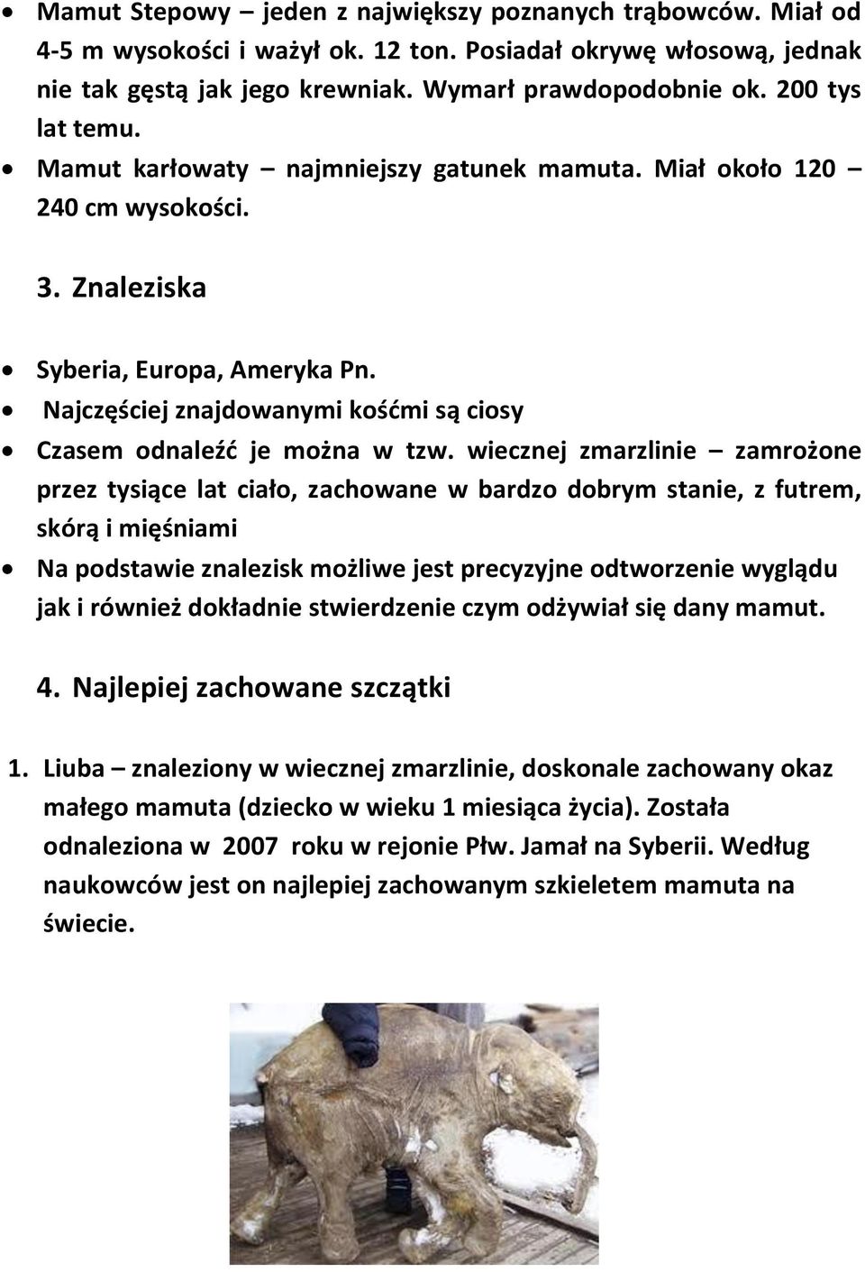 Najczęściej znajdowanymi kośćmi są ciosy Czasem odnaleźć je można w tzw.