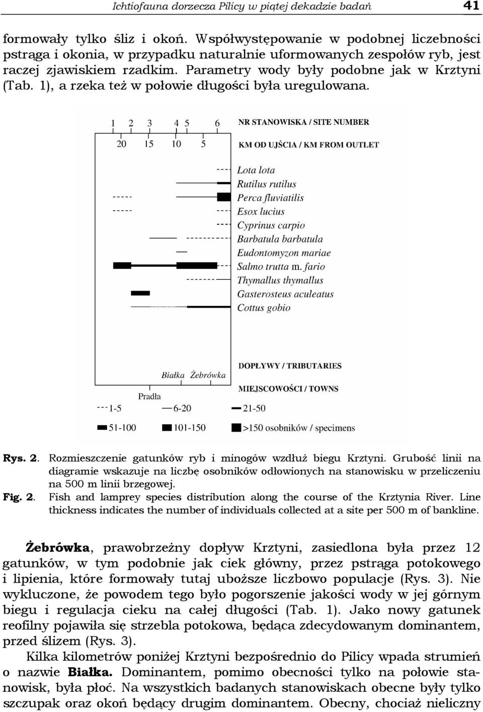 1), a rzeka teŝ w połowie długości była uregulowana. Rys. 2. Rozmieszczenie gatunków ryb i minogów wzdłuŝ biegu Krztyni.