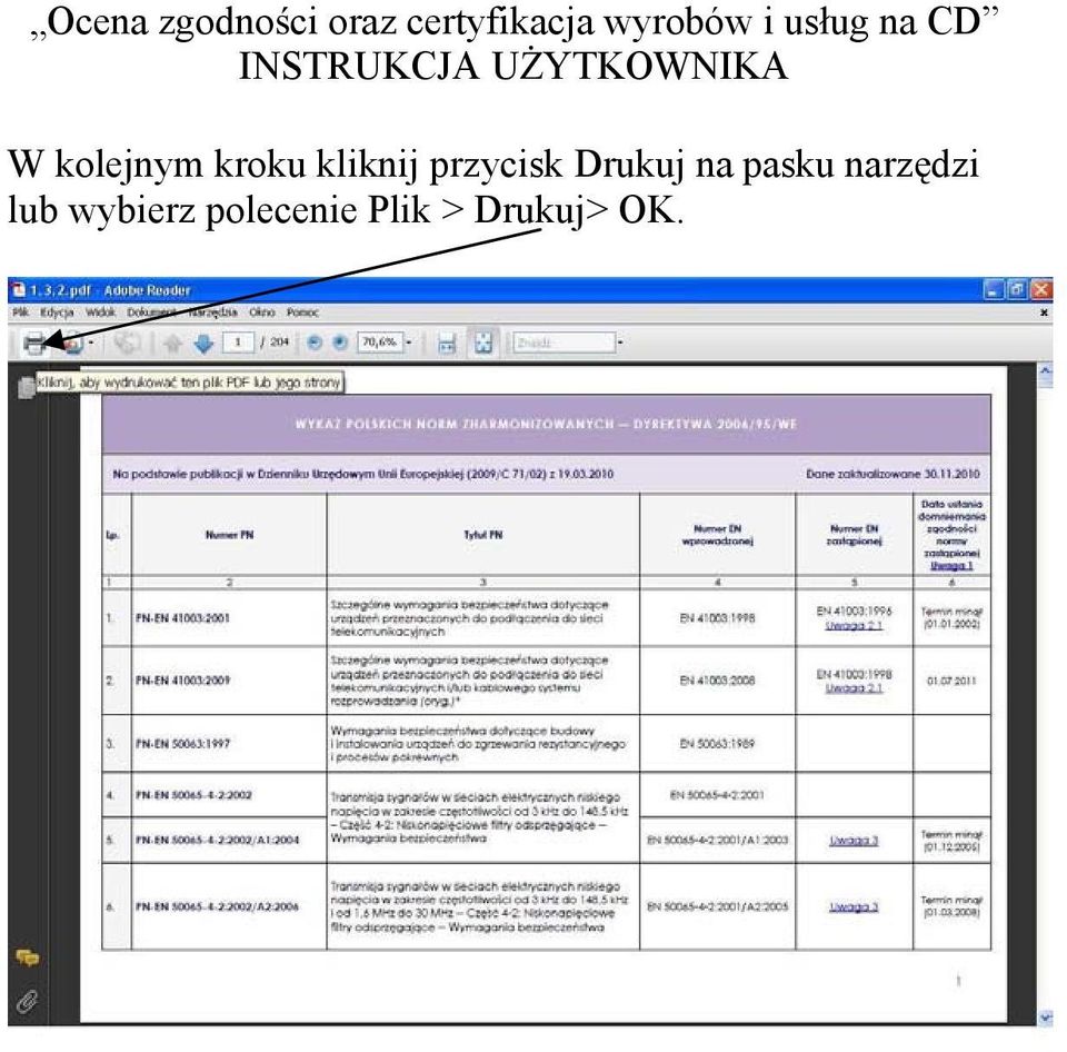 kolejnym kroku kliknij przycisk Drukuj na