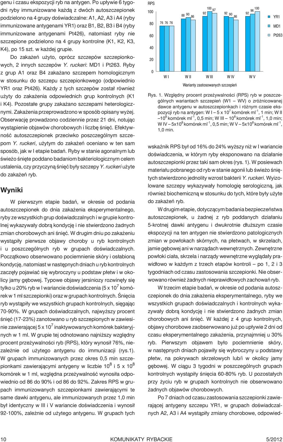 antygenami Pt426), natomiast ryby nie szczepione podzielono na 4 grupy kontrolne (K1, K2, K3, K4), po 15 szt. w ka dej grupie. Do zaka eñ u yto, oprócz szczepów szczepionkowych, 2 innych szczepów Y.