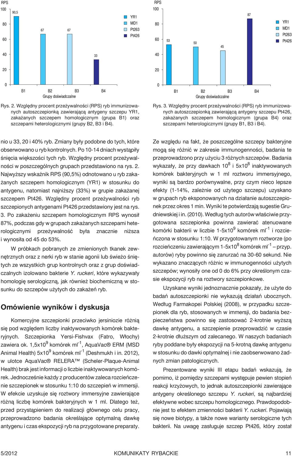 Wzglêdny procent prze ywalnoœci (RPS) ryb immunizowanych autoszczepionk¹ zawieraj¹c¹ antygeny szczepu, zaka anych szczepem homologicznym (grupa B1) oraz szczepami heterologicznymi (grupy B2, B3 i B4).