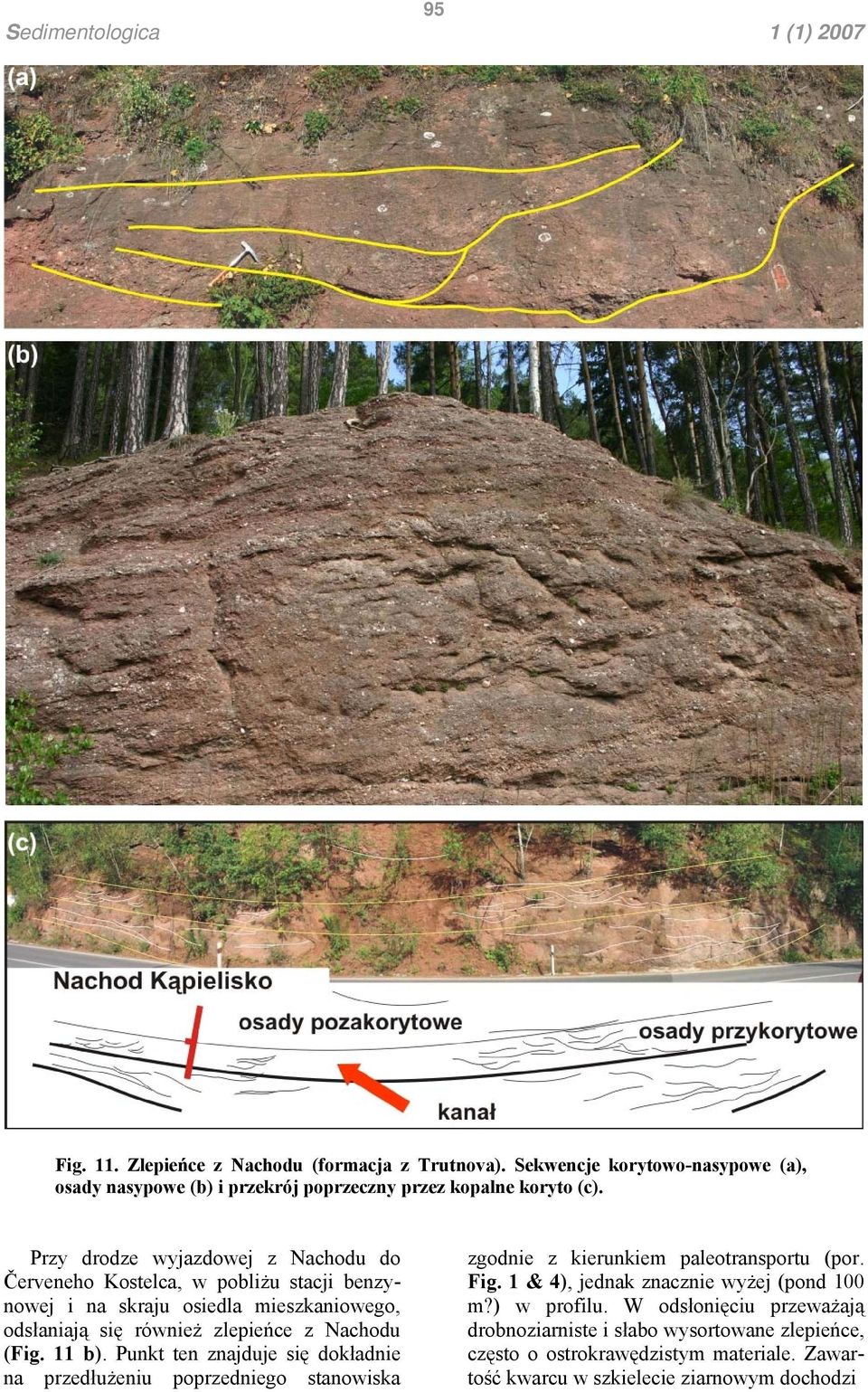 (Fig. 11 b). Punkt ten znajduje się dokładnie na przedłużeniu poprzedniego stanowiska zgodnie z kierunkiem paleotransportu (por. Fig.