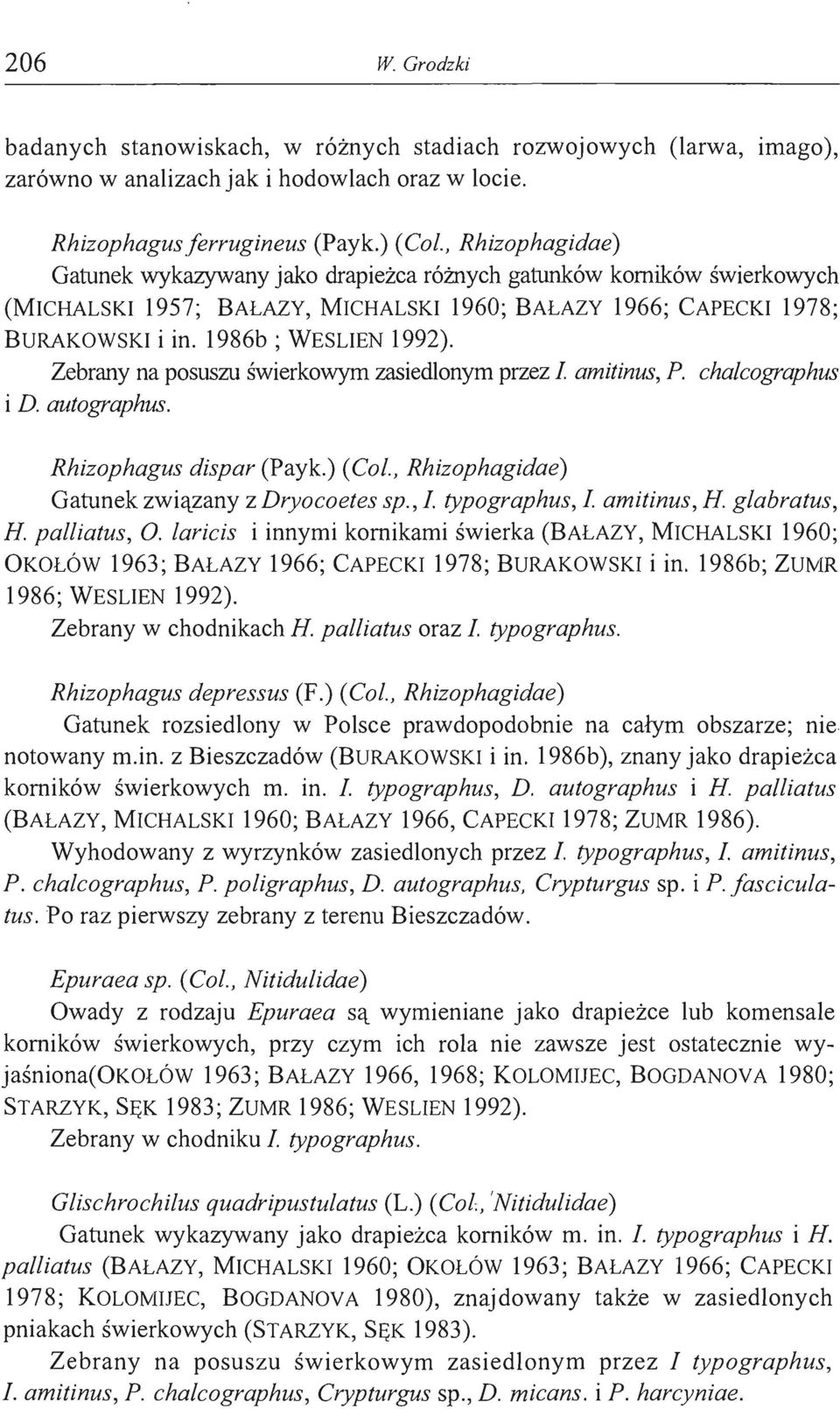 Zebrany na posuszu świerkowym zasiedlonym przez 1 amitinus, P. chalcographus i D. autographus. Rhizophagus dispar (Payk.) (Co!., Rhizophagidae) Gatunek związany z Dryocoetes sp.