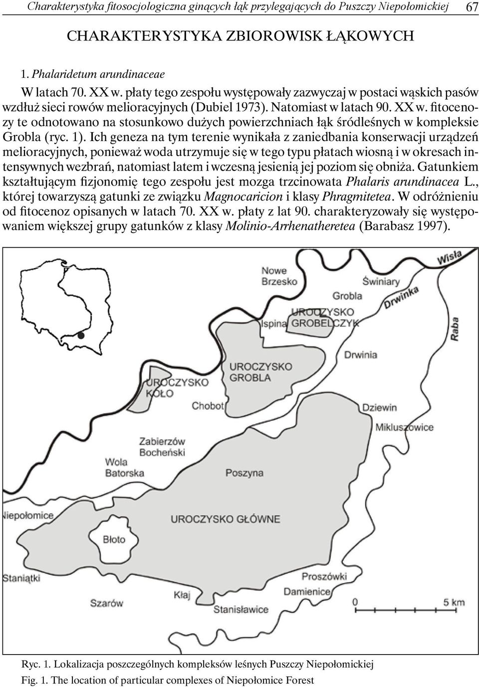 fitocenozy te odnotowano na stosunkowo dużych powierzchniach łąk śródleśnych w kompleksie Grobla (ryc. 1).