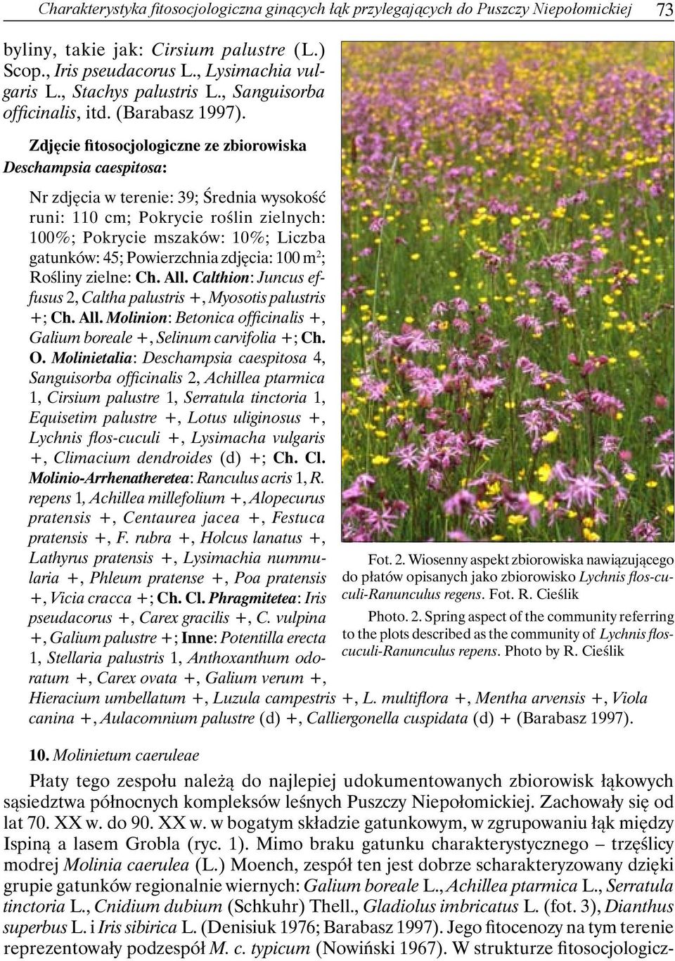 Zdjęcie fitosocjologiczne ze zbiorowiska Deschampsia caespitosa: Nr zdjęcia w terenie: 39; Średnia wysokość runi: 110 cm; Pokrycie roślin zielnych: 100%; Pokrycie mszaków: 10%; Liczba gatunków: 45;