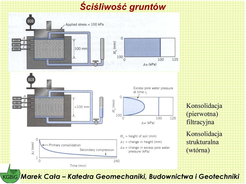 (pierwotna)