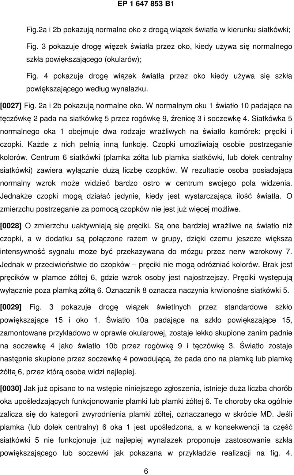 W normalnym oku 1 światło 10 padające na tęczówkę 2 pada na siatkówkę 5 przez rogówkę 9, źrenicę 3 i soczewkę 4.