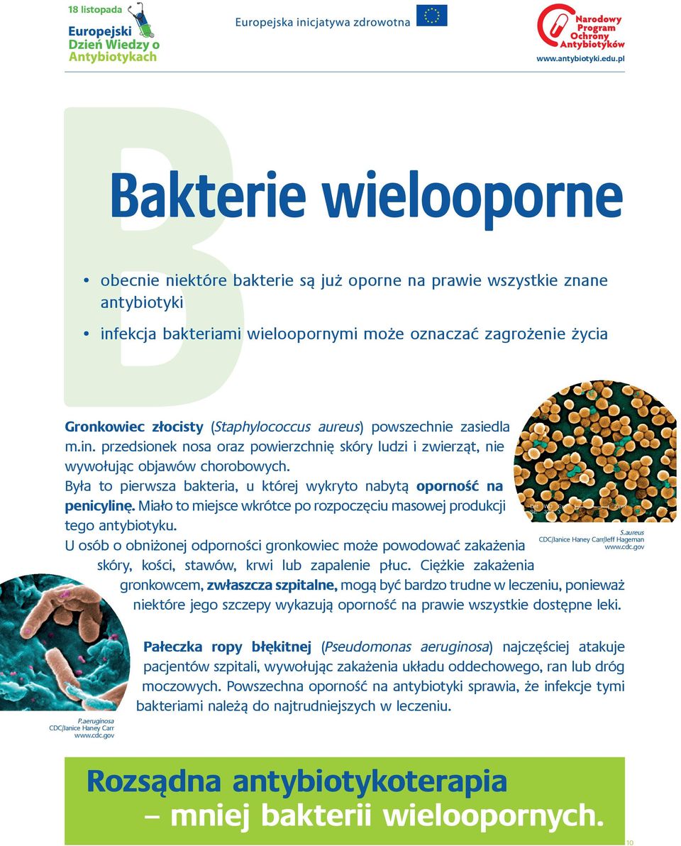 Była to pierwsza bakteria, u której wykryto nabytą oporność na penicylinę. Miało to miejsce wkrótce po rozpoczęciu masowej produkcji tego antybiotyku.