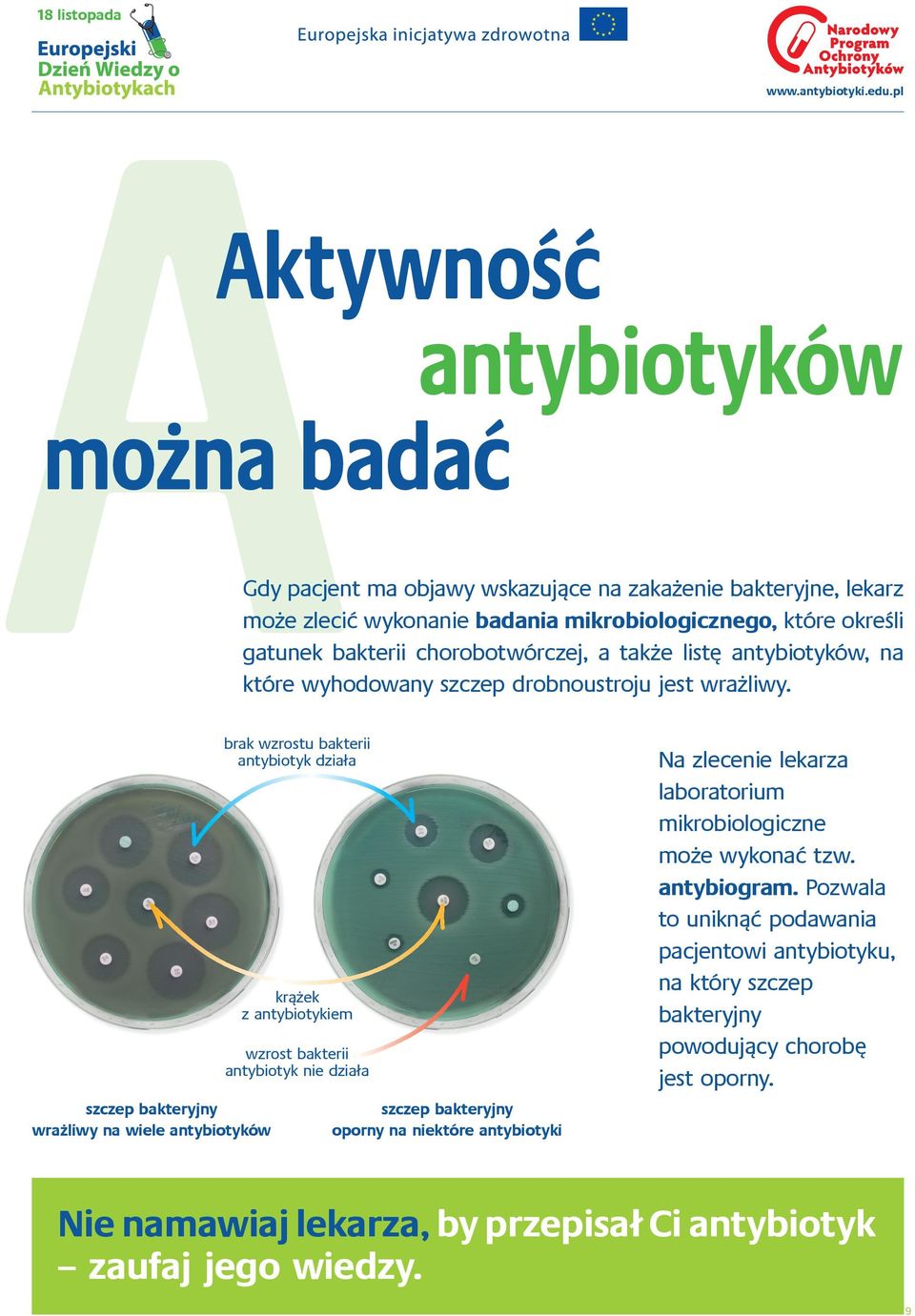 szczep bakteryjny wrażliwy na wiele antybiotyków brak wzrostu bakterii antybiotyk działa krążek z antybiotykiem wzrost bakterii antybiotyk nie działa szczep bakteryjny oporny na niektóre