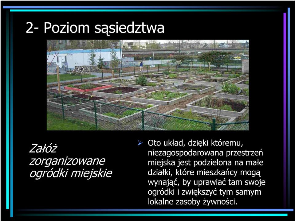 podzielona na małe działki, które mieszkańcy mogą wynająć, by