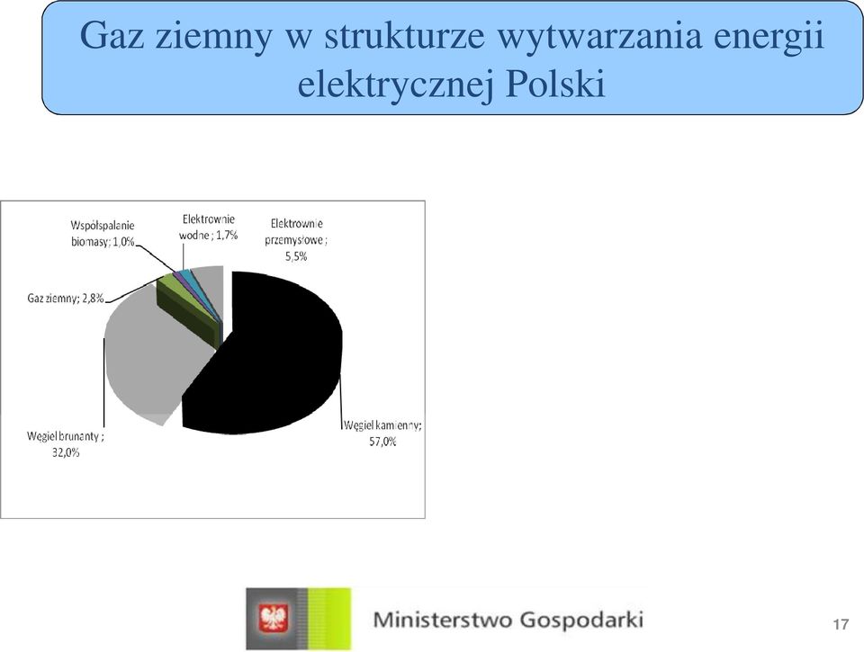 Paliw o j drow e 16,82% Produkty naftow e 1,69% Gaz ziem ny 9,39% W giel
