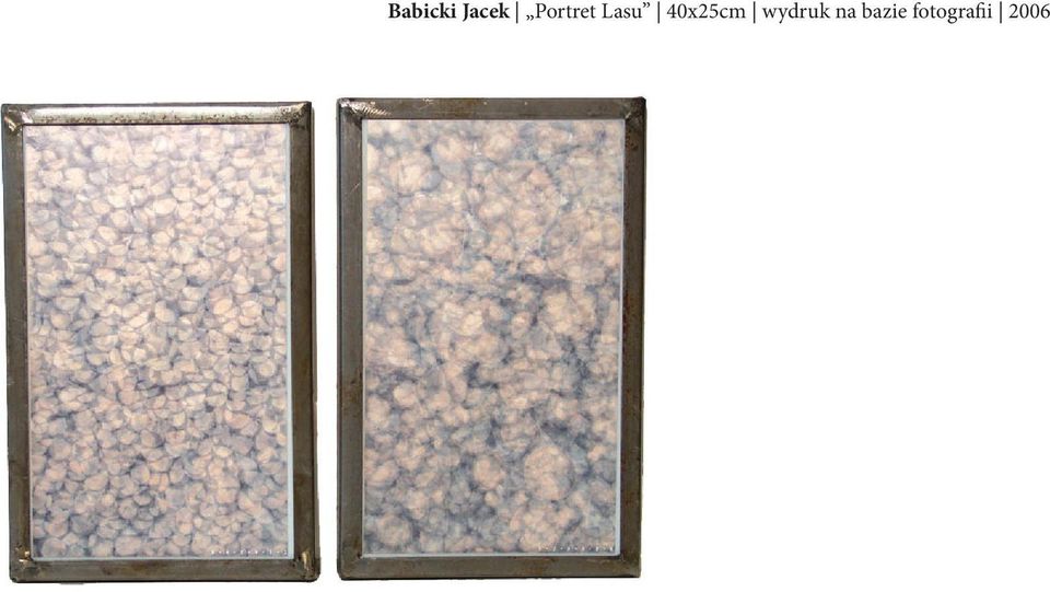 40x25cm wydruk