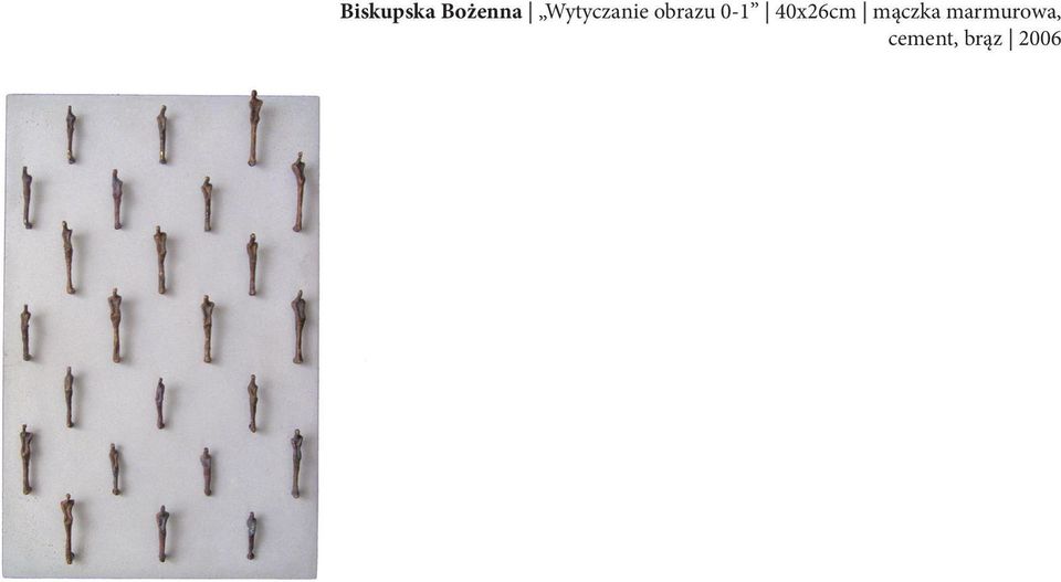 0-1 40x26cm mączka
