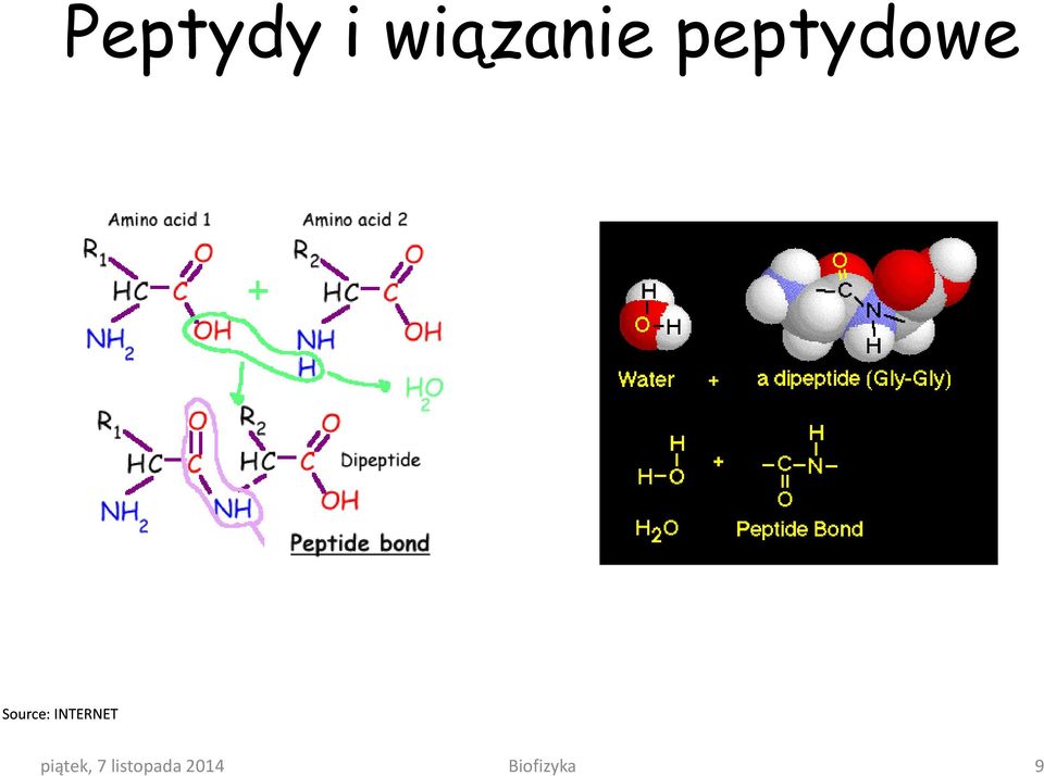 peptydowe