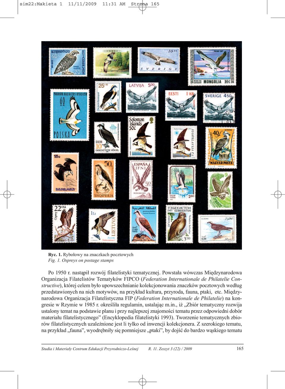 według przedstawionych na nich motywów, na przykład kultura, przyroda, fauna, ptaki, etc.