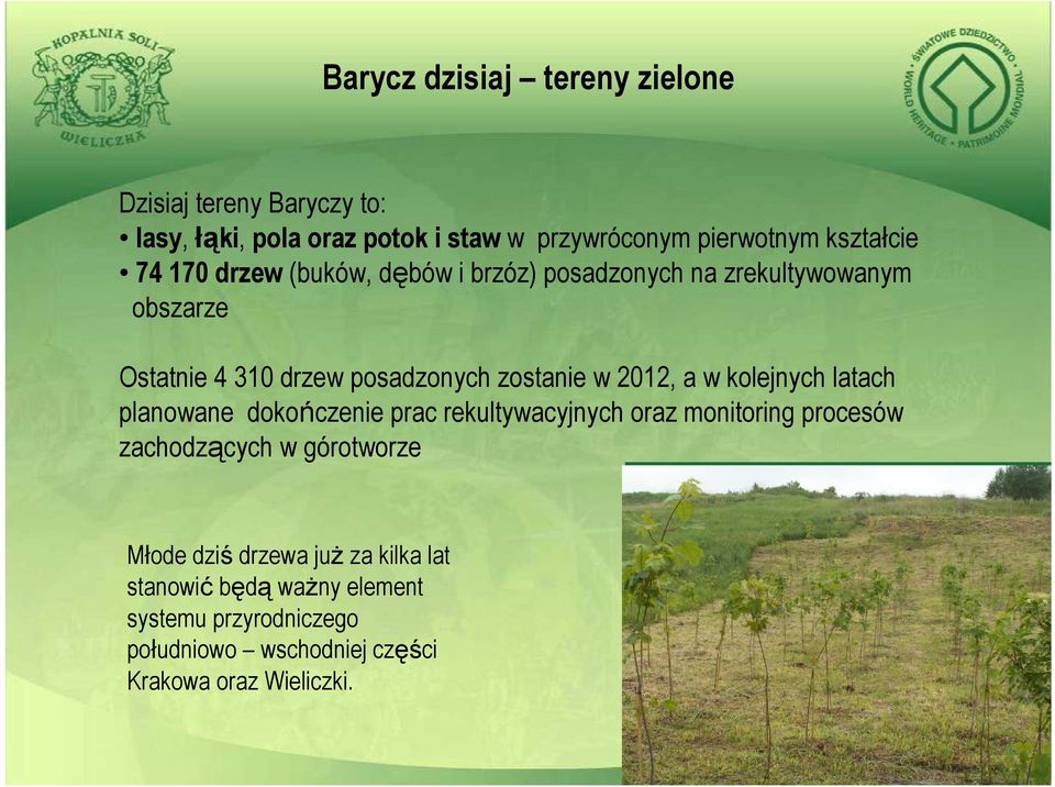 zostanie w 2012, a w kolejnych latach planowane dokończenie prac rekultywacyjnych oraz monitoring procesów zachodzących w