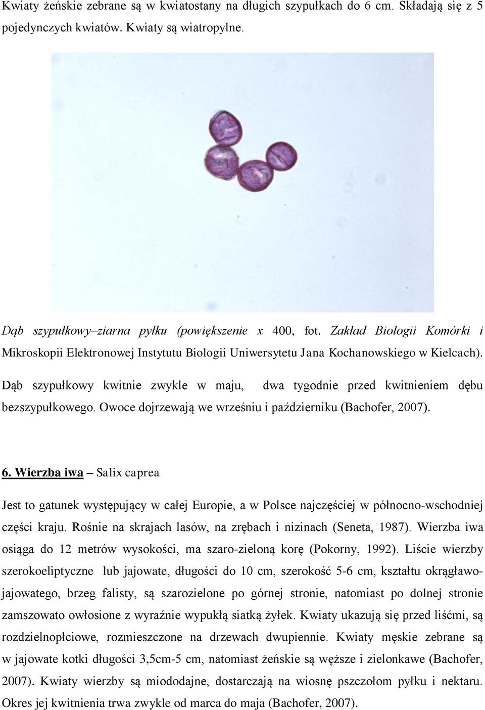 Dąb szypułkowy kwitnie zwykle w maju, dwa tygodnie przed kwitnieniem dębu bezszypułkowego. Owoce dojrzewają we wrześniu i październiku (Bachofer, 2007). 6.