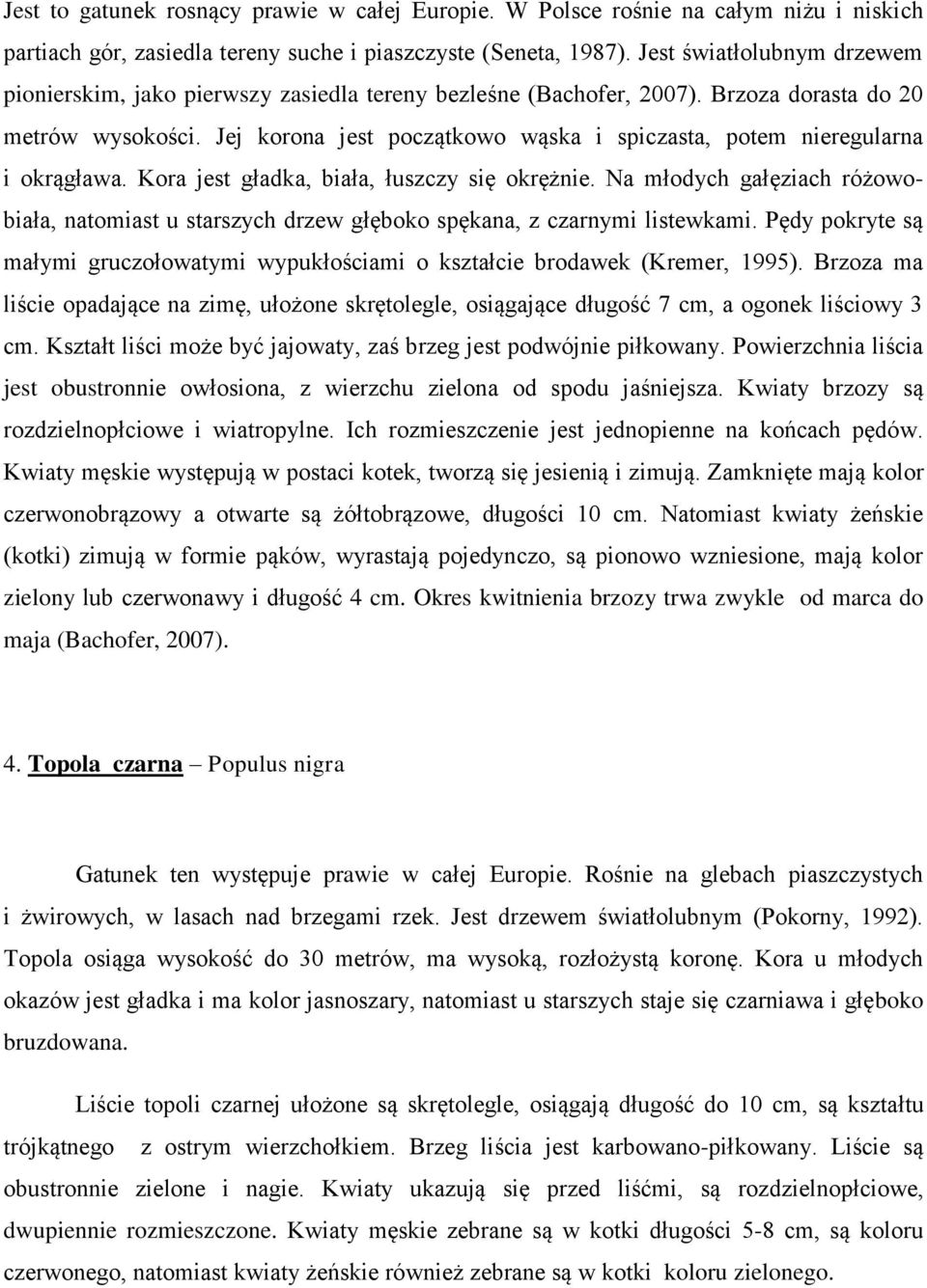 Jej korona jest początkowo wąska i spiczasta, potem nieregularna i okrągława. Kora jest gładka, biała, łuszczy się okrężnie.