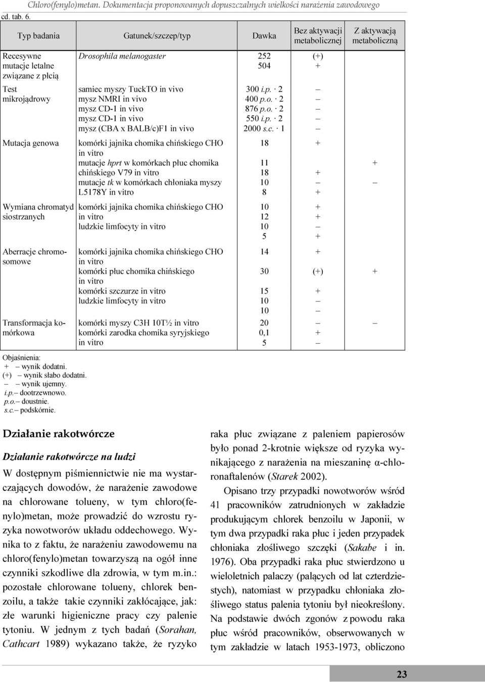 chromatyd siostrzanych Aberracje chromosomowe Transformacja komórkowa Objaśnienia: + wynik dodatni. (+) wynik słabo dodatni. wynik ujemny. i.p. dootrzewnowo. p.o. doustnie. s.c. podskórnie.