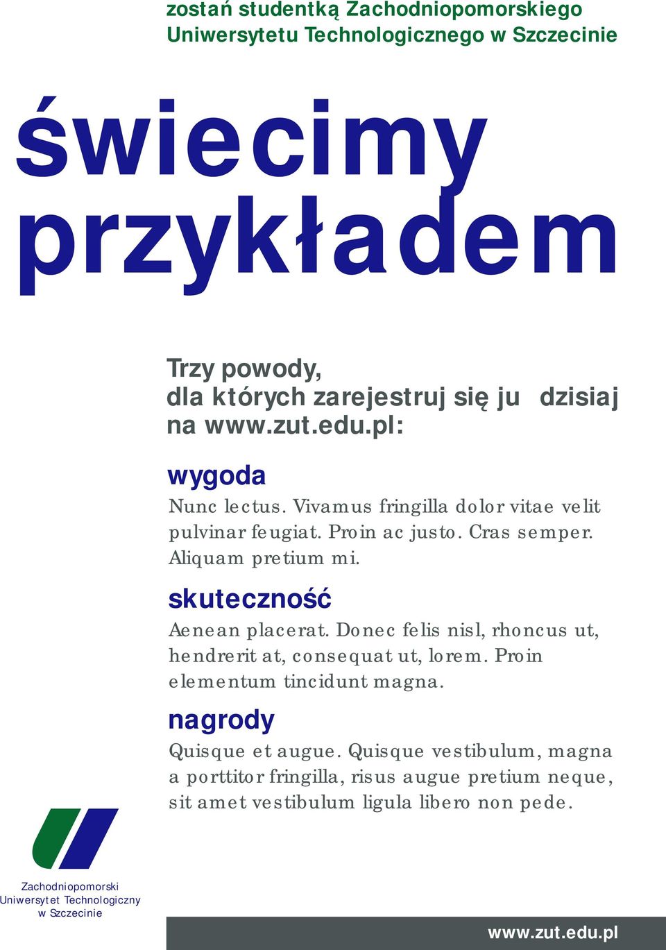 skuteczność Aenean placerat. Donec felis nisl, rhoncus ut, hendrerit at, consequat ut, lorem. Proin elementum tincidunt magna.