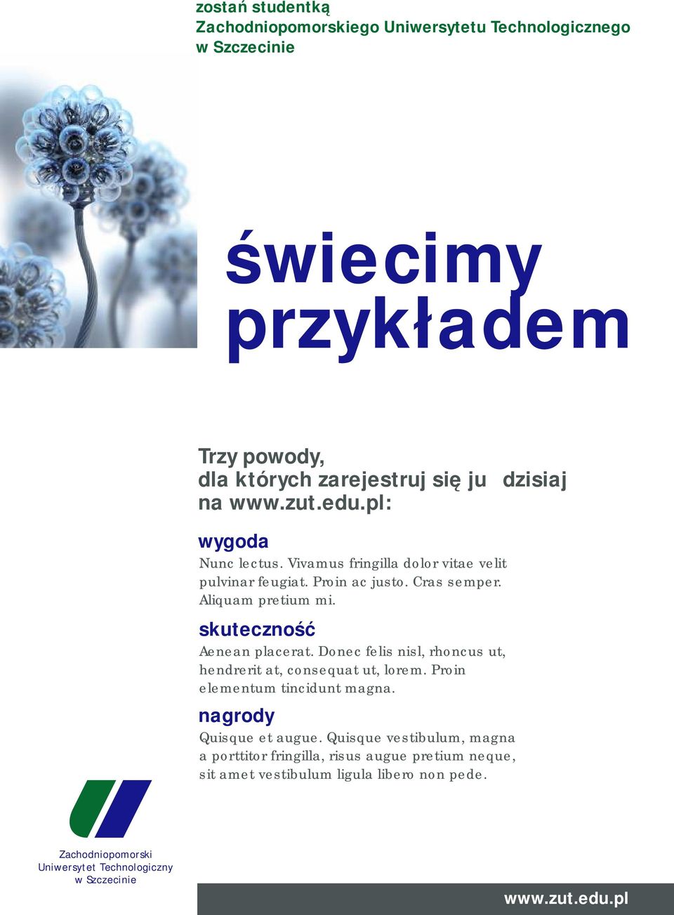 skuteczność Aenean placerat. Donec felis nisl, rhoncus ut, hendrerit at, consequat ut, lorem. Proin elementum tincidunt magna.