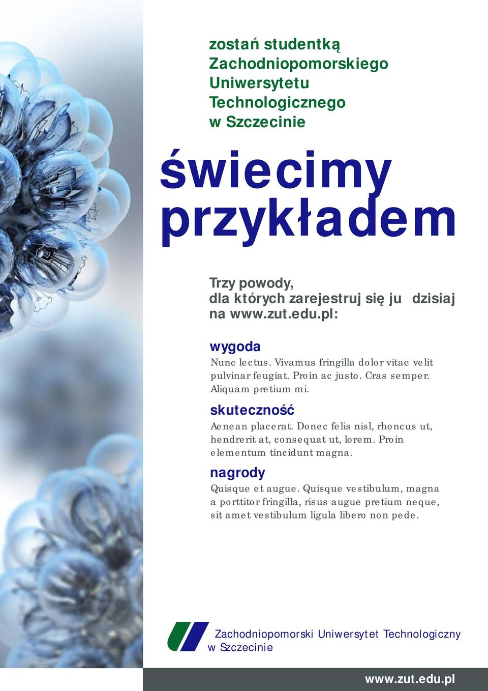 skuteczność Aenean placerat. Donec felis nisl, rhoncus ut, hendrerit at, consequat ut, lorem. Proin elementum tincidunt magna.